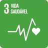 Vida Saudável